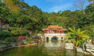 深圳仙湖植物园攻略